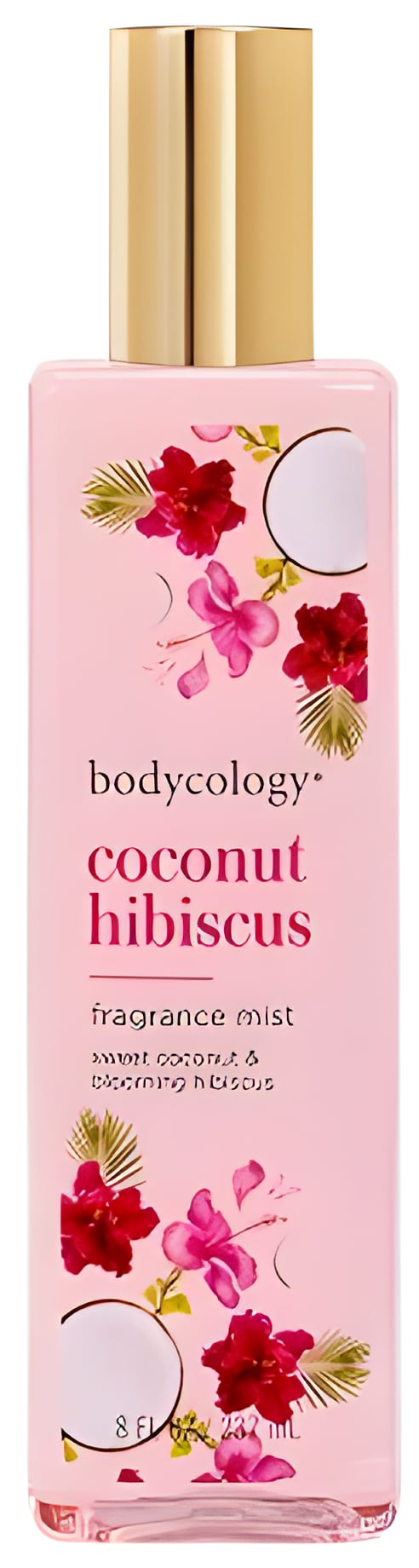 Picture of Coconut Hibiscus fragrance