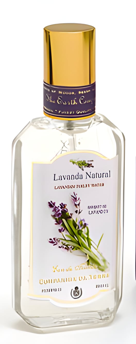 Picture of Lavanda Natural fragrance