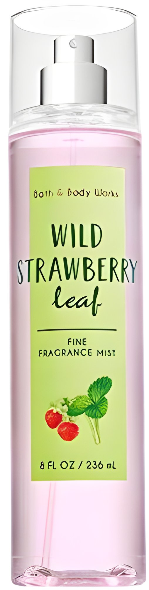 Picture of Wild Strawberry Leaf fragrance