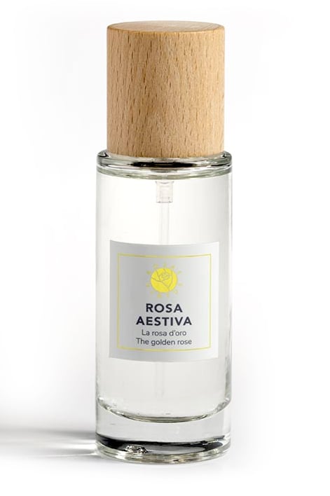 Picture of Rosa Aestiva fragrance