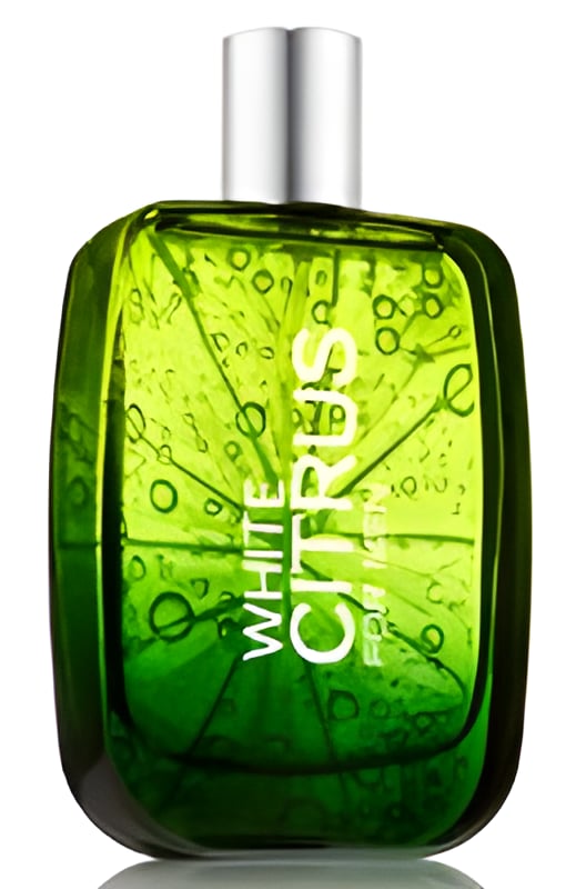 Picture of White Citrus for Men fragrance