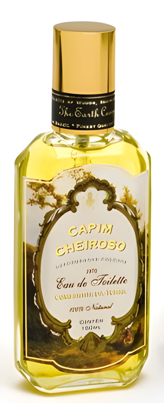 Picture of Capim Cheiroso fragrance