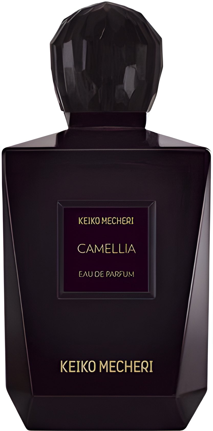 Picture of Camellia fragrance