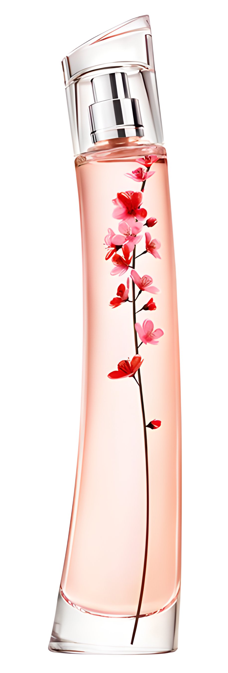 Picture of Flower Ikebana Sakura fragrance