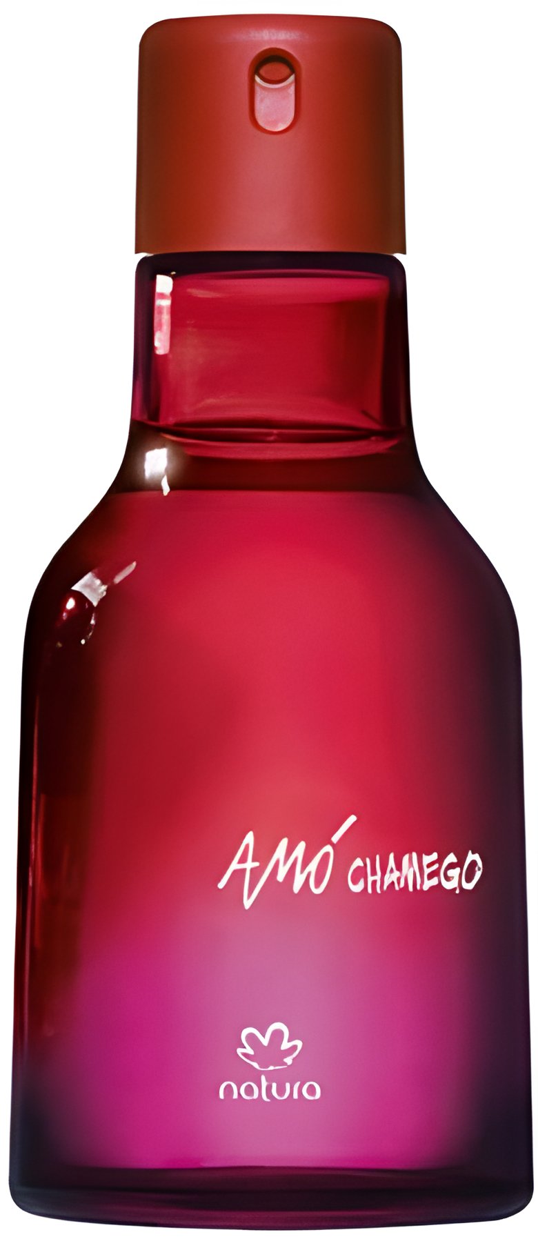 Picture of Chamego fragrance