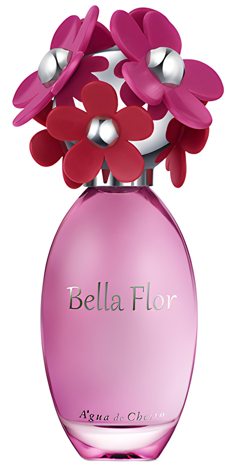 Picture of Bella Flor fragrance