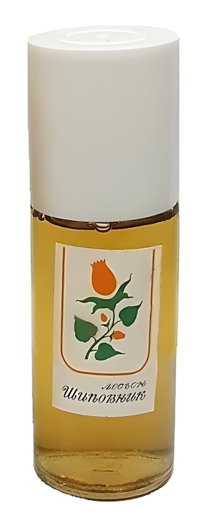 Picture of Шиповник fragrance