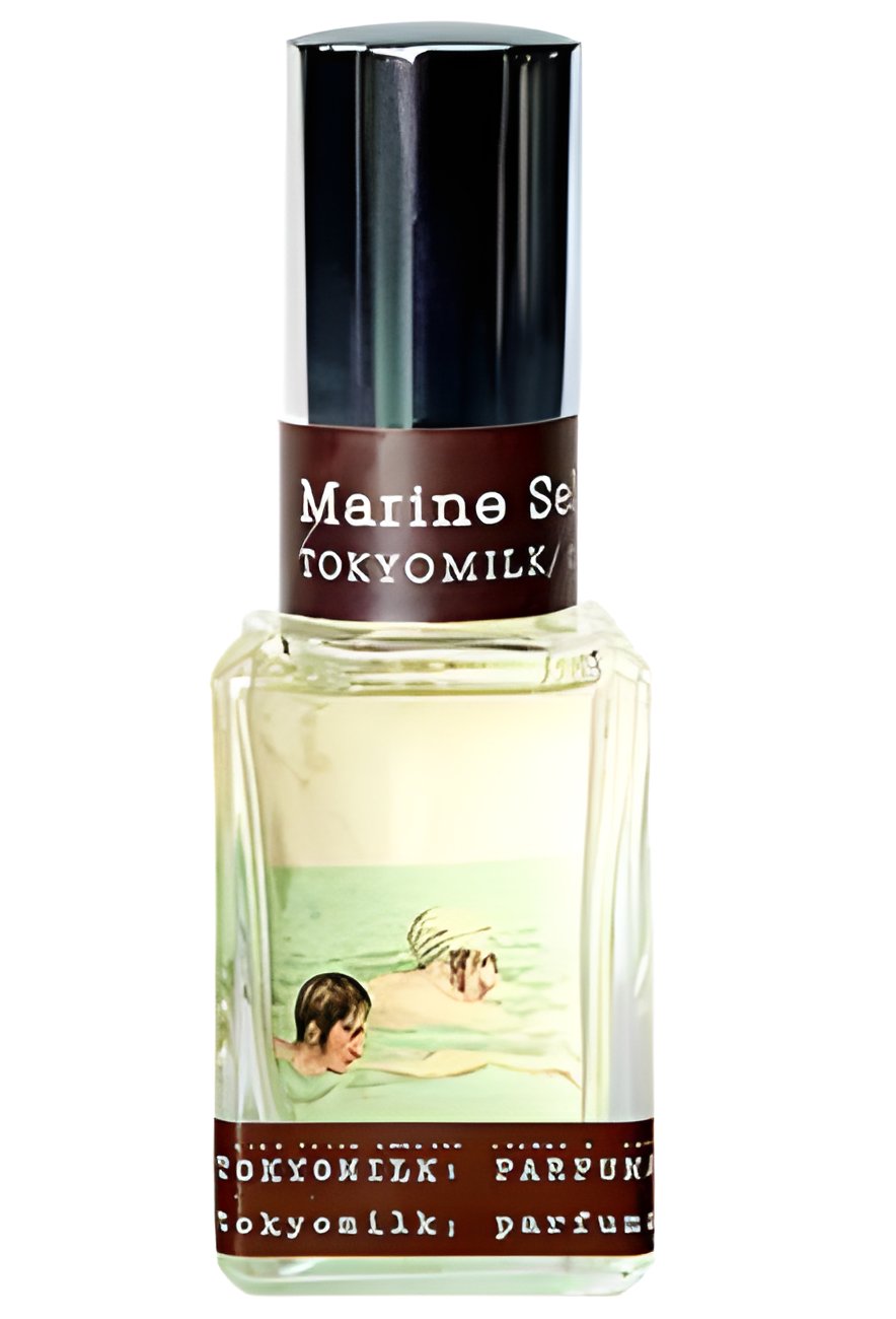 Picture of Marine Sel fragrance