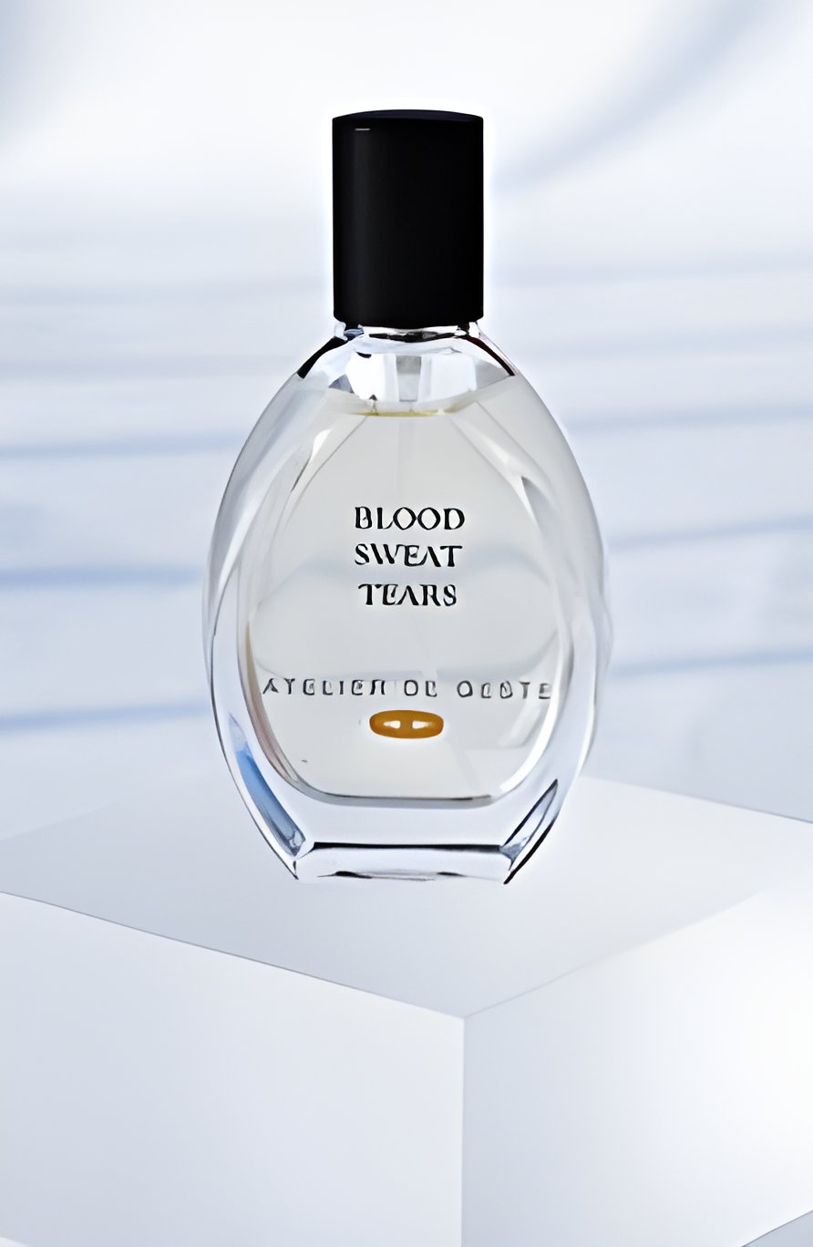 Picture of Blood Sweat Tears fragrance