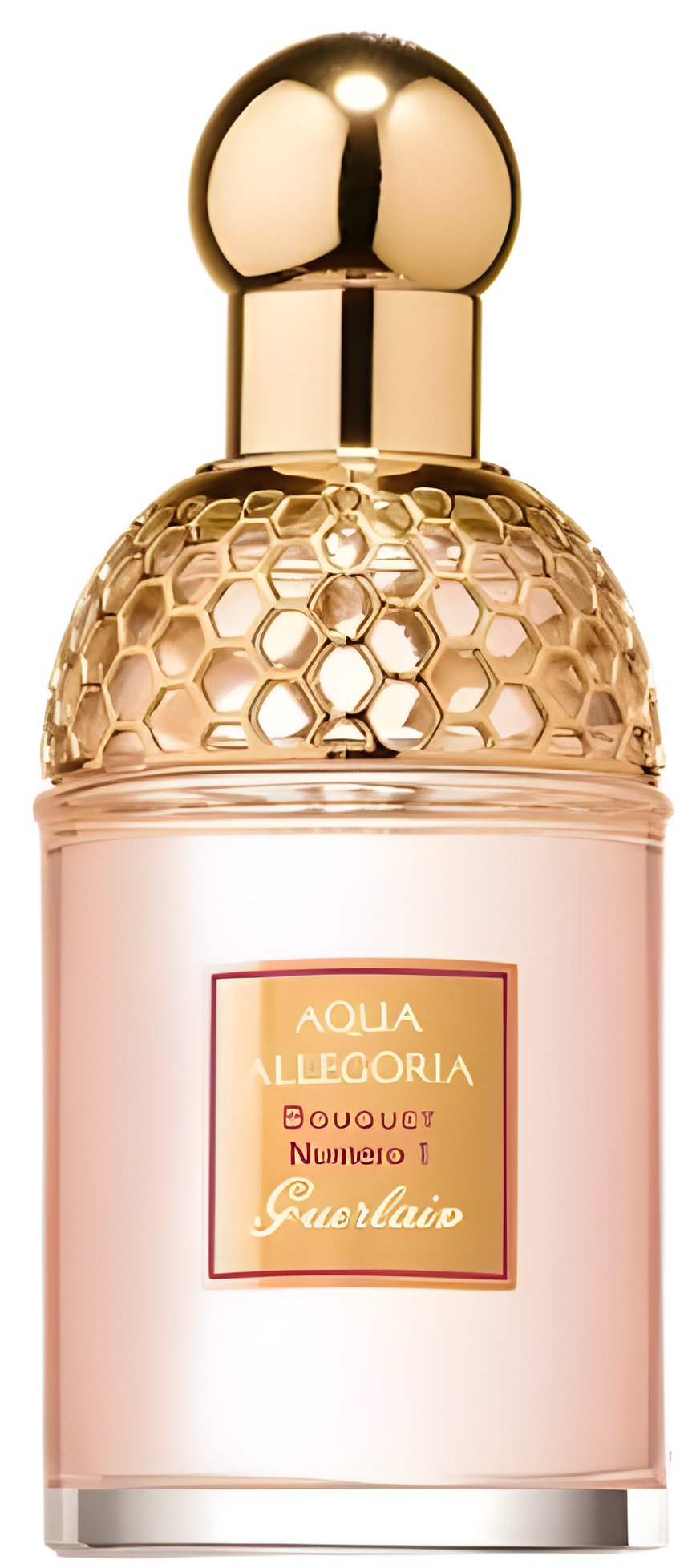 Picture of Aqua Allegoria Bouquet Numero 1 fragrance