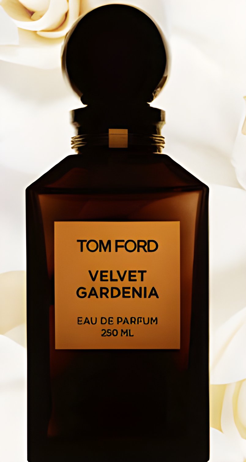 Picture of Velvet Gardenia fragrance