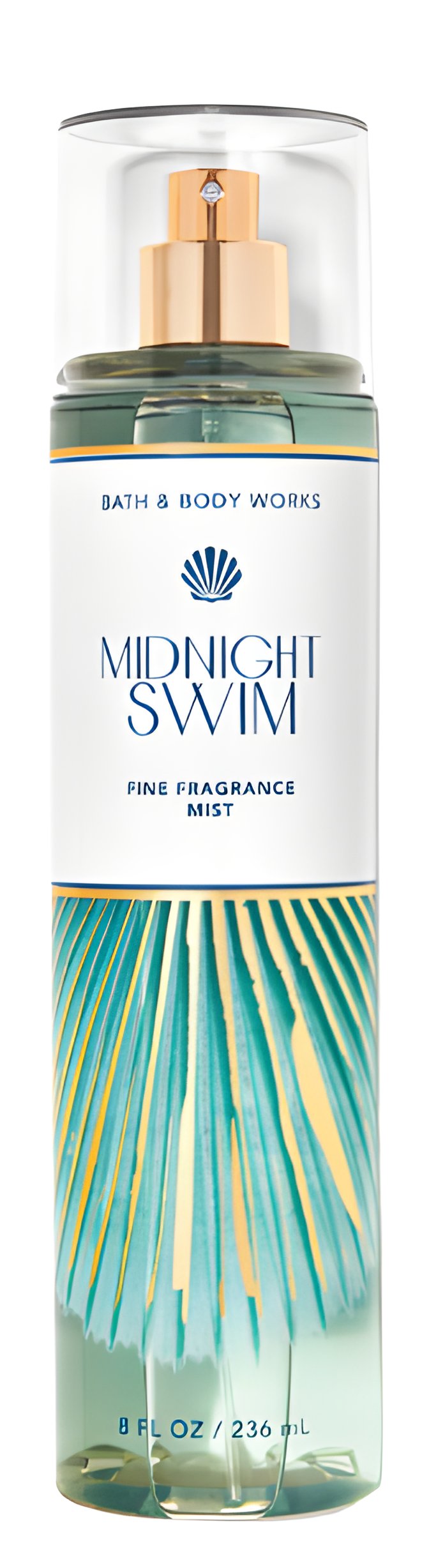 Picture of Midnight Swim fragrance