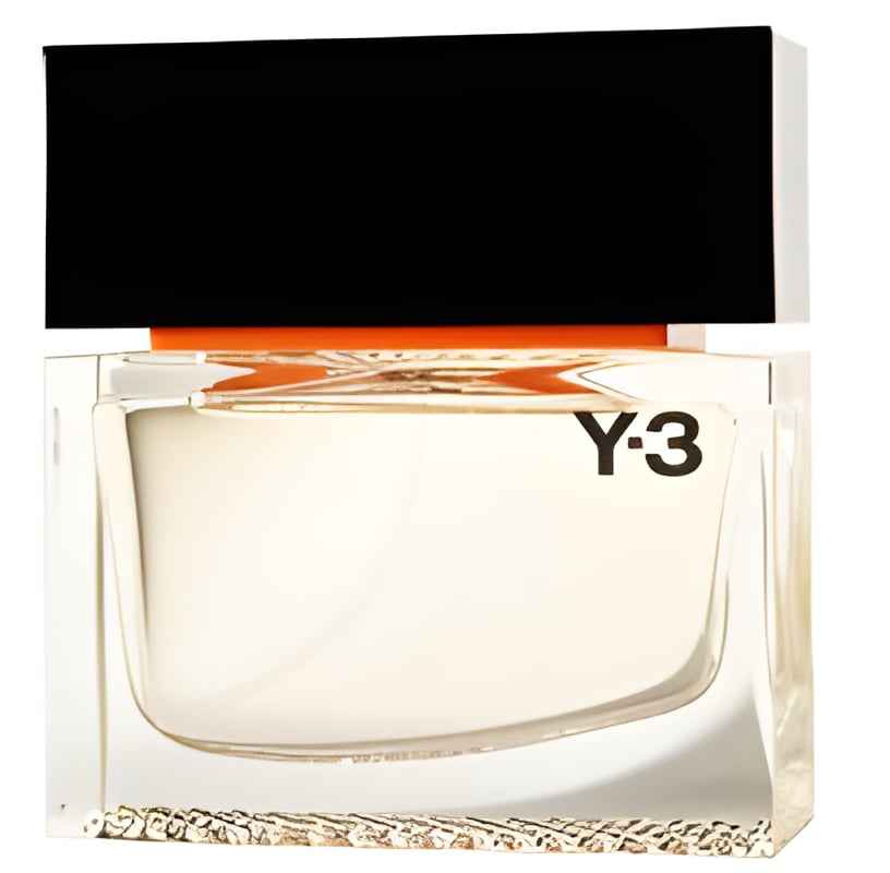 Picture of Y-3 Black Label fragrance