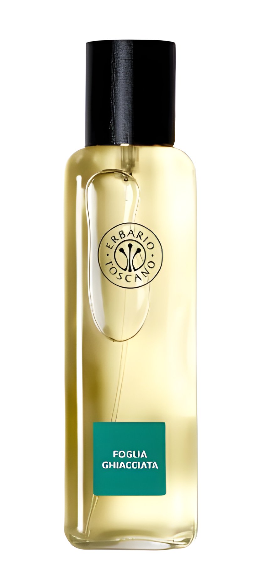 Picture of Foglia Ghiacciata fragrance