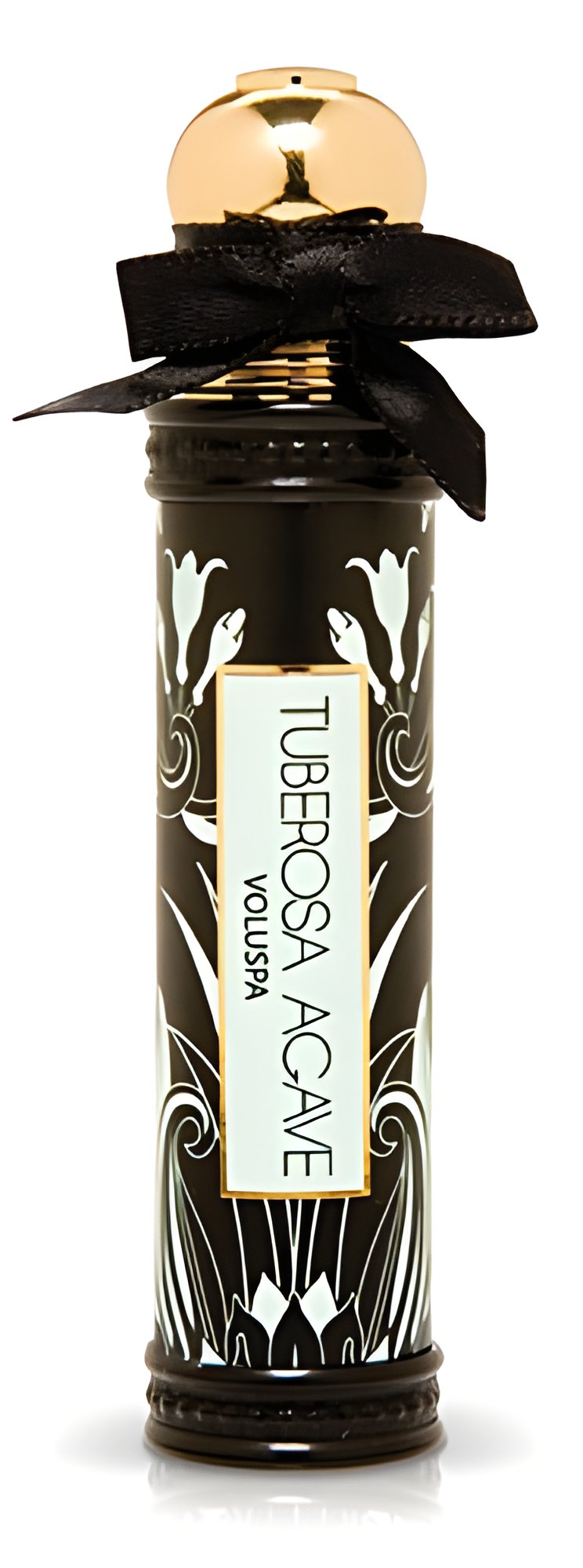 Picture of Tuberosa Agave fragrance