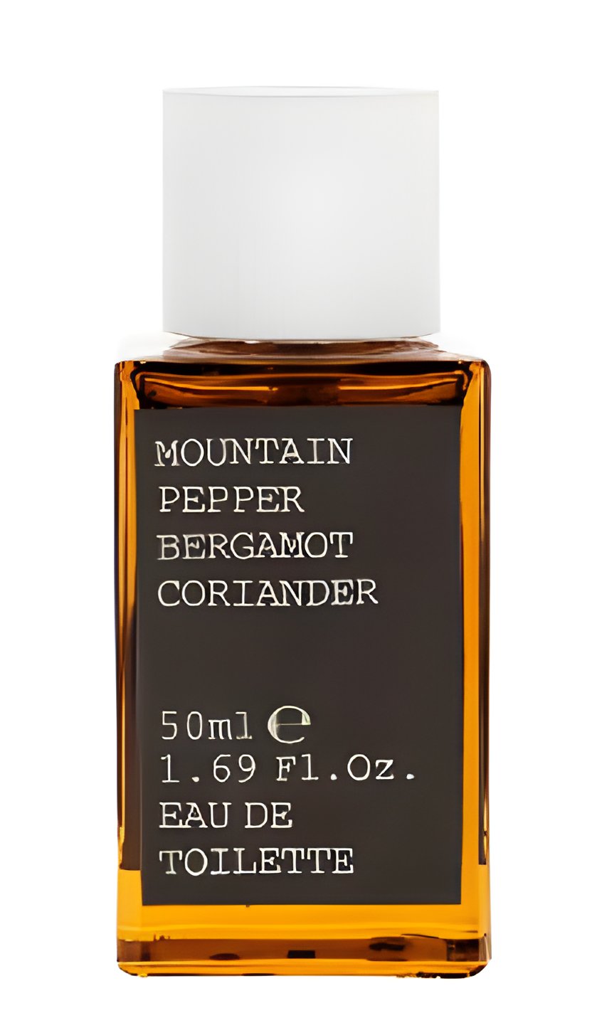 Picture of Mountain Pepper Bergamot Coriander fragrance