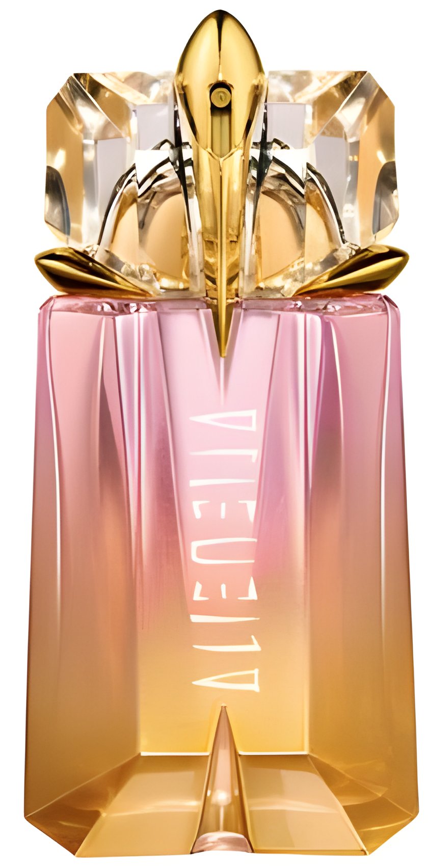 Picture of Alien Sunessence Edition Limitee 2011 or d'Ambre fragrance