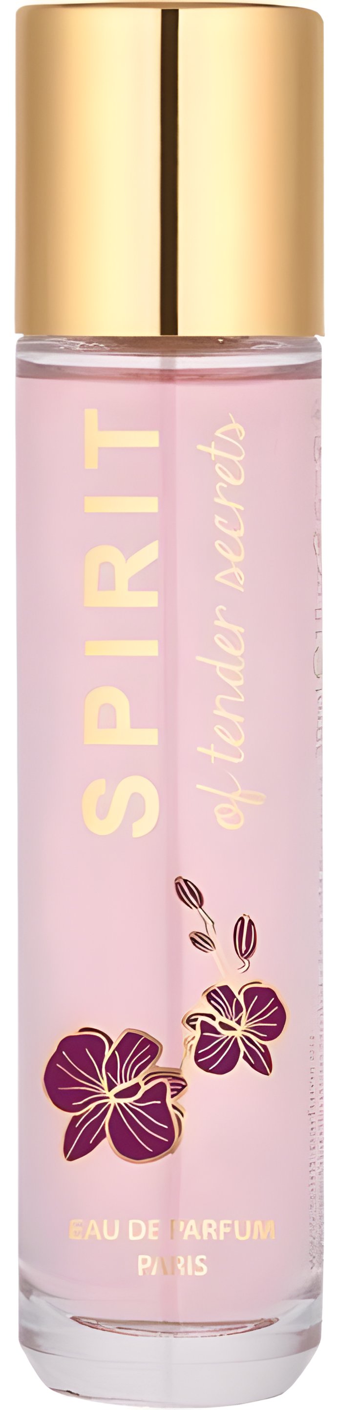 Picture of Spirit of Tender Secrets fragrance