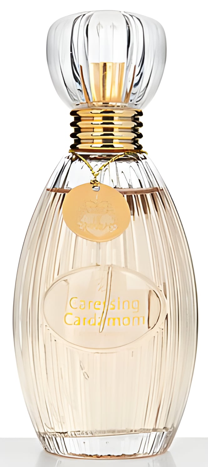 Picture of Caressing Cardamom fragrance