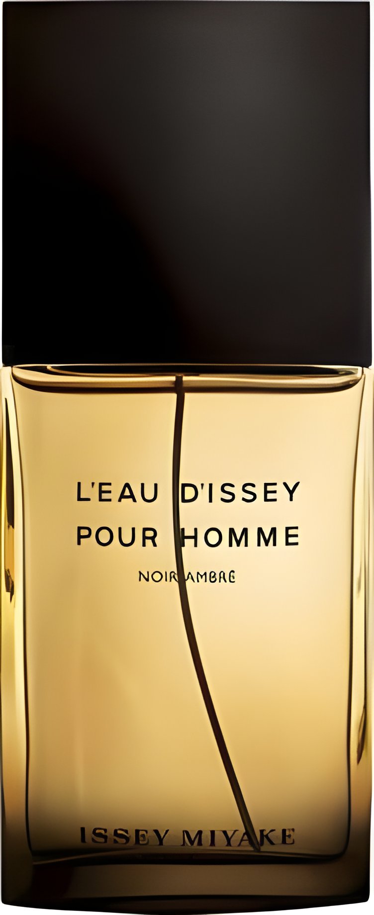 Picture of L'Eau d'Issey Pour Homme Noir Ambre fragrance