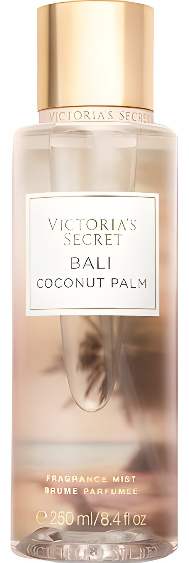 Picture of Bali Coconut Palm fragrance