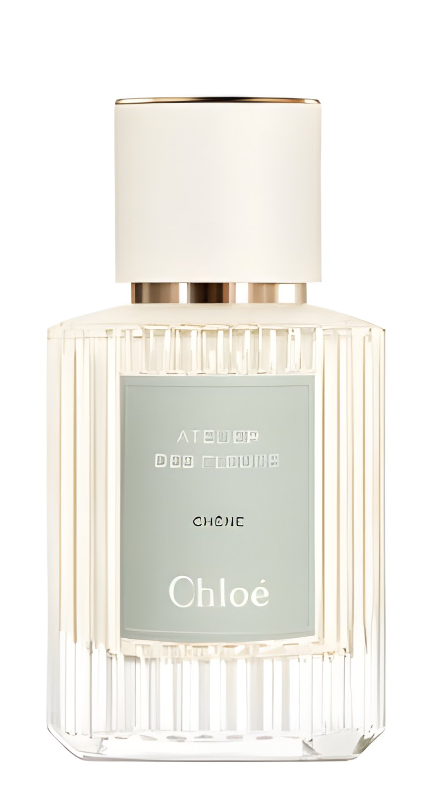 Picture of Chêne fragrance