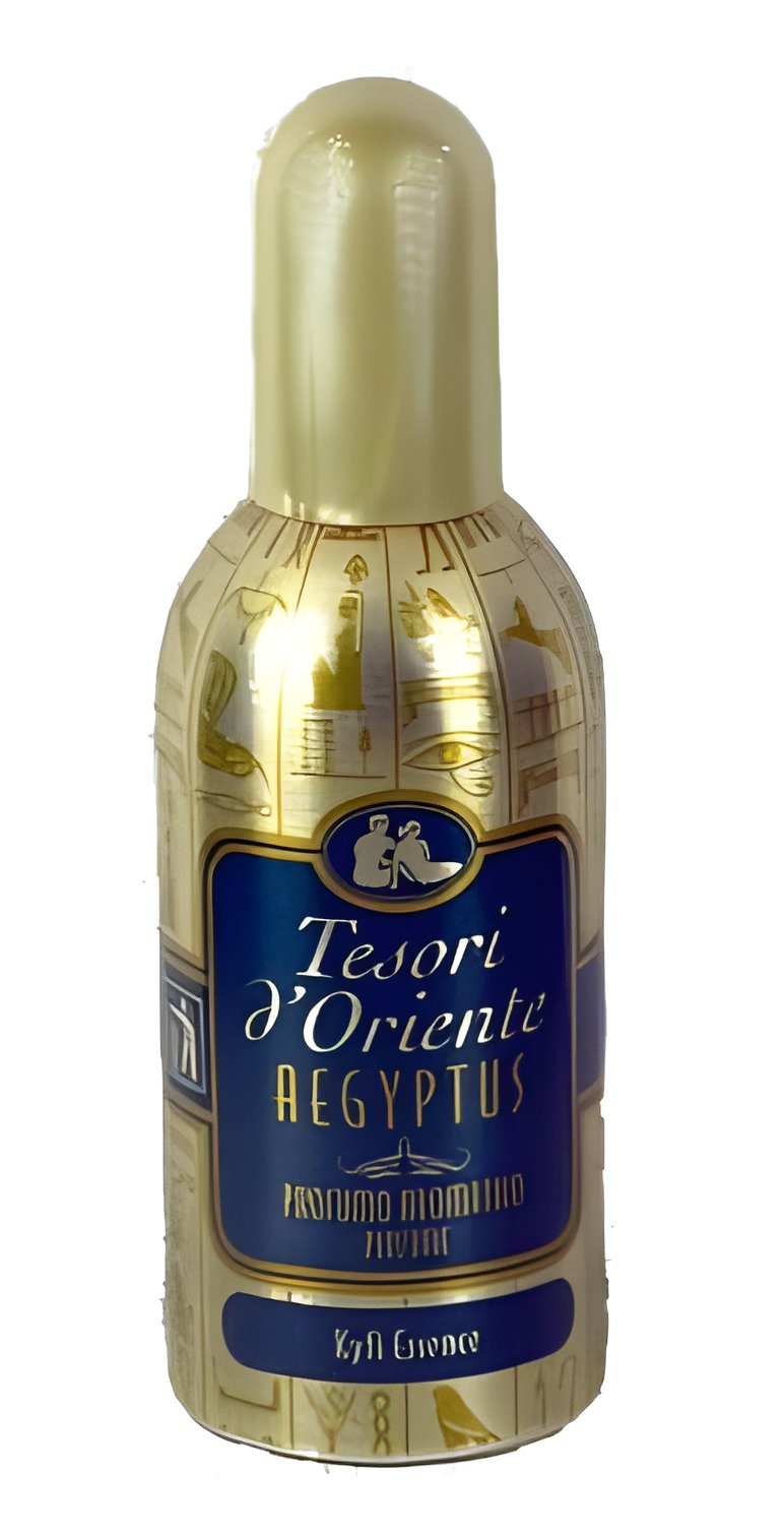 Picture of Aegyptus fragrance