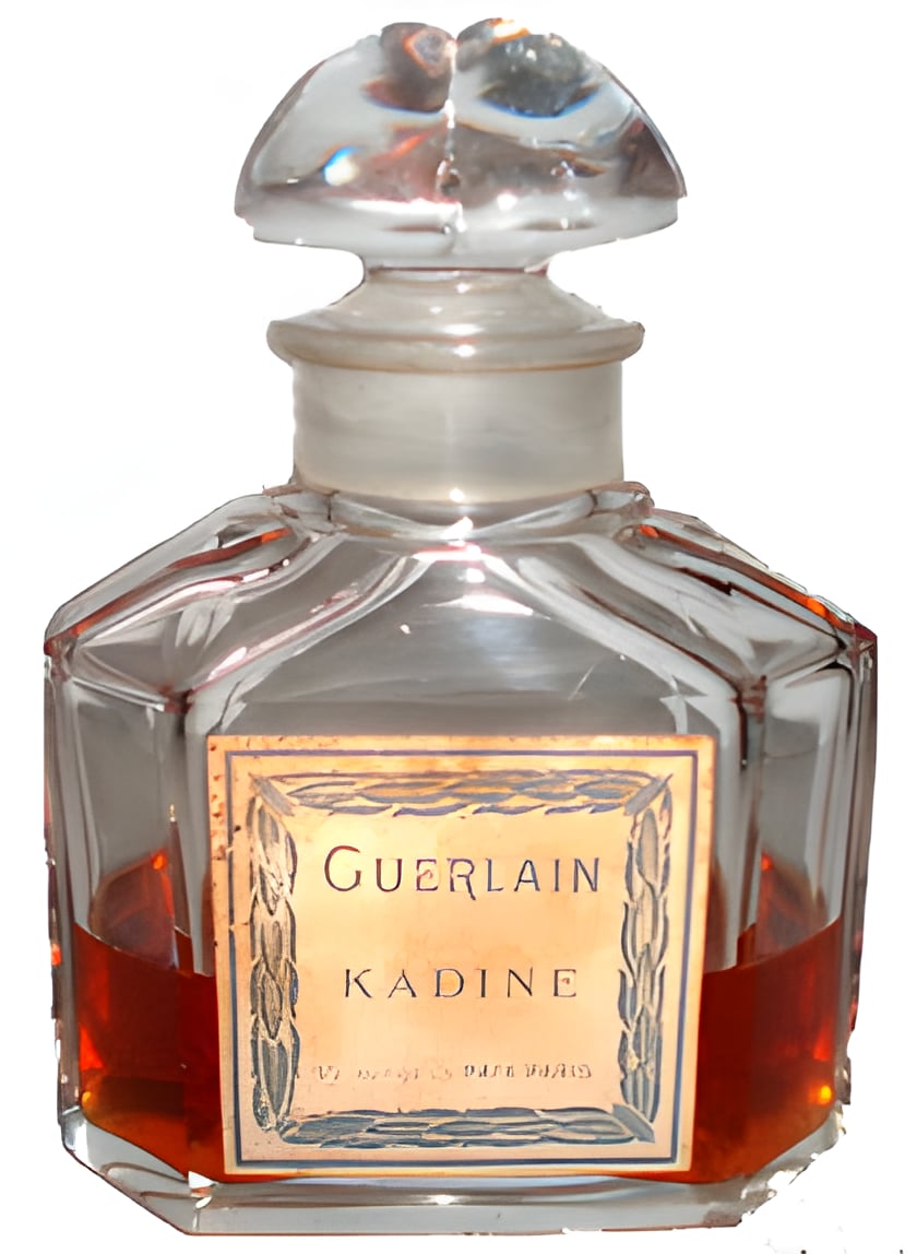 Picture of Kadine fragrance