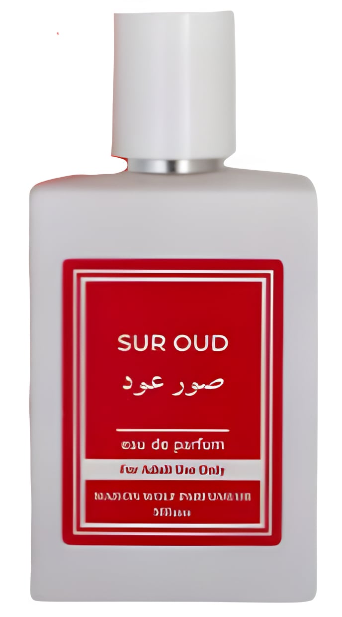 Picture of Sur Oud fragrance