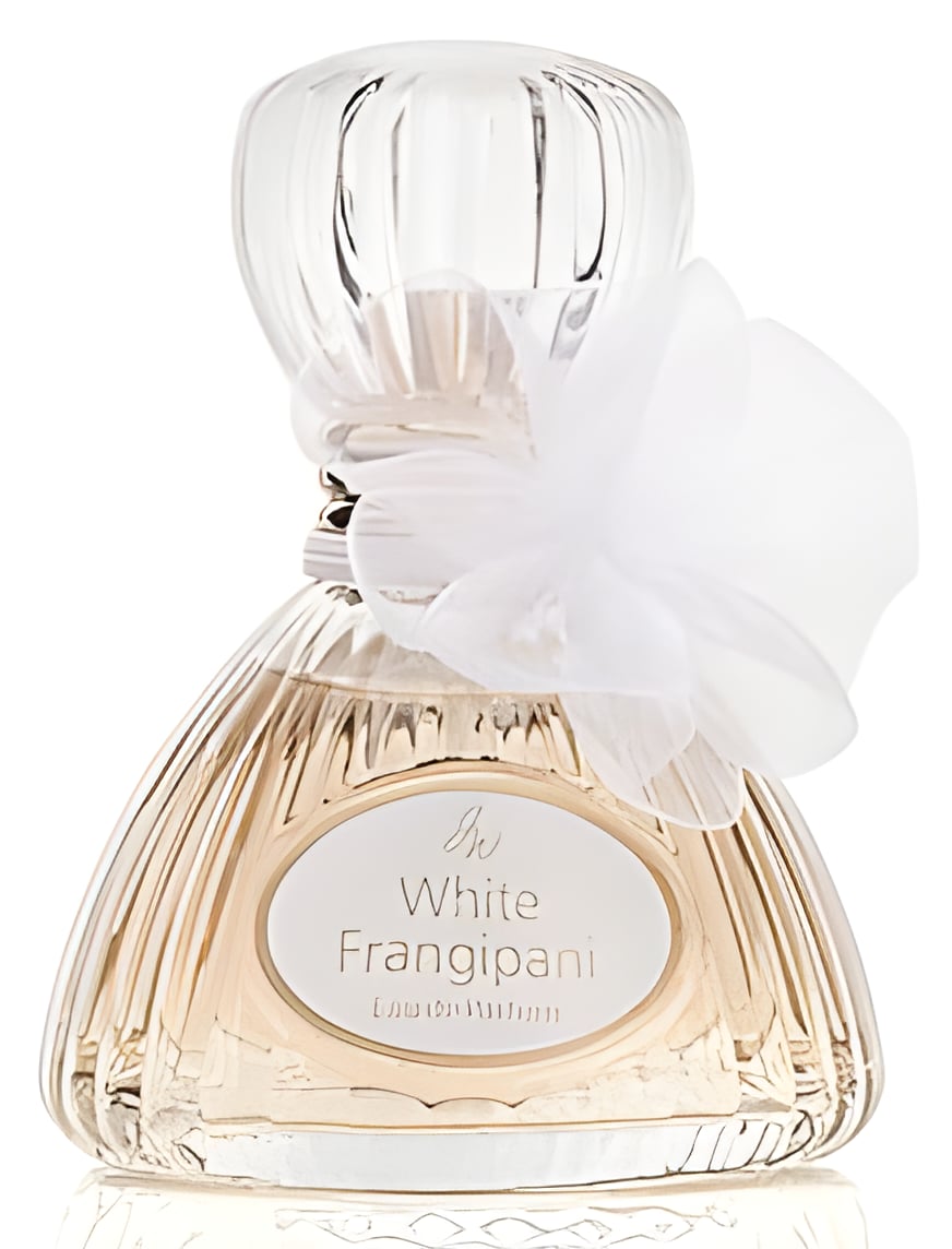 Picture of White Frangipani fragrance