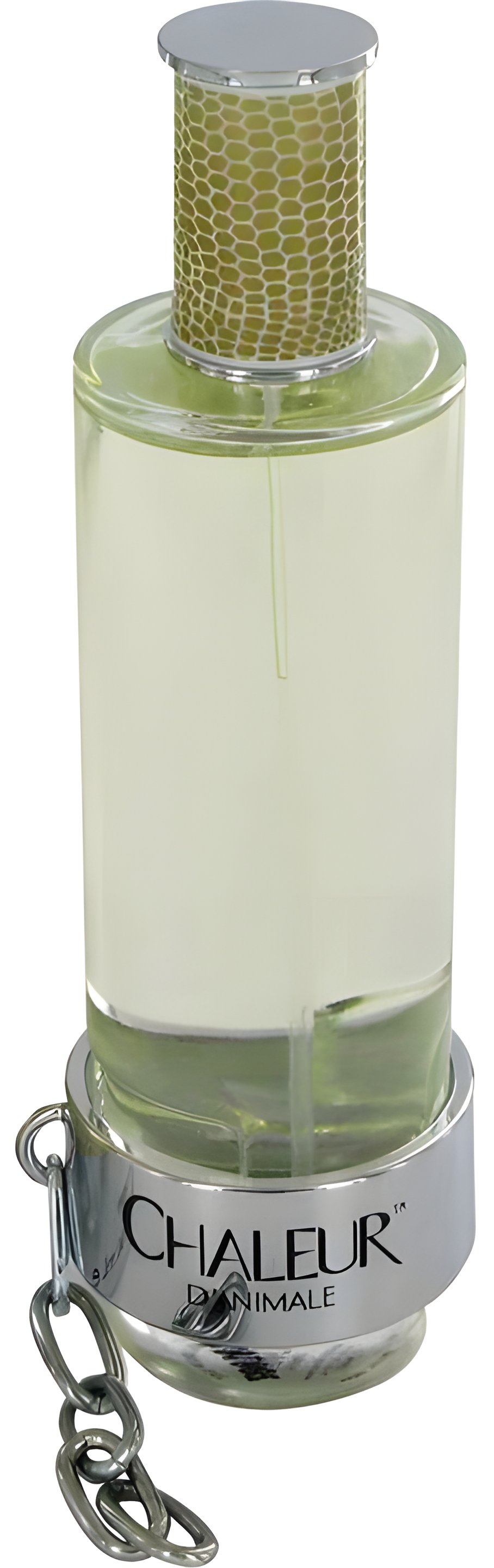 Picture of Chaleur d'Animale fragrance