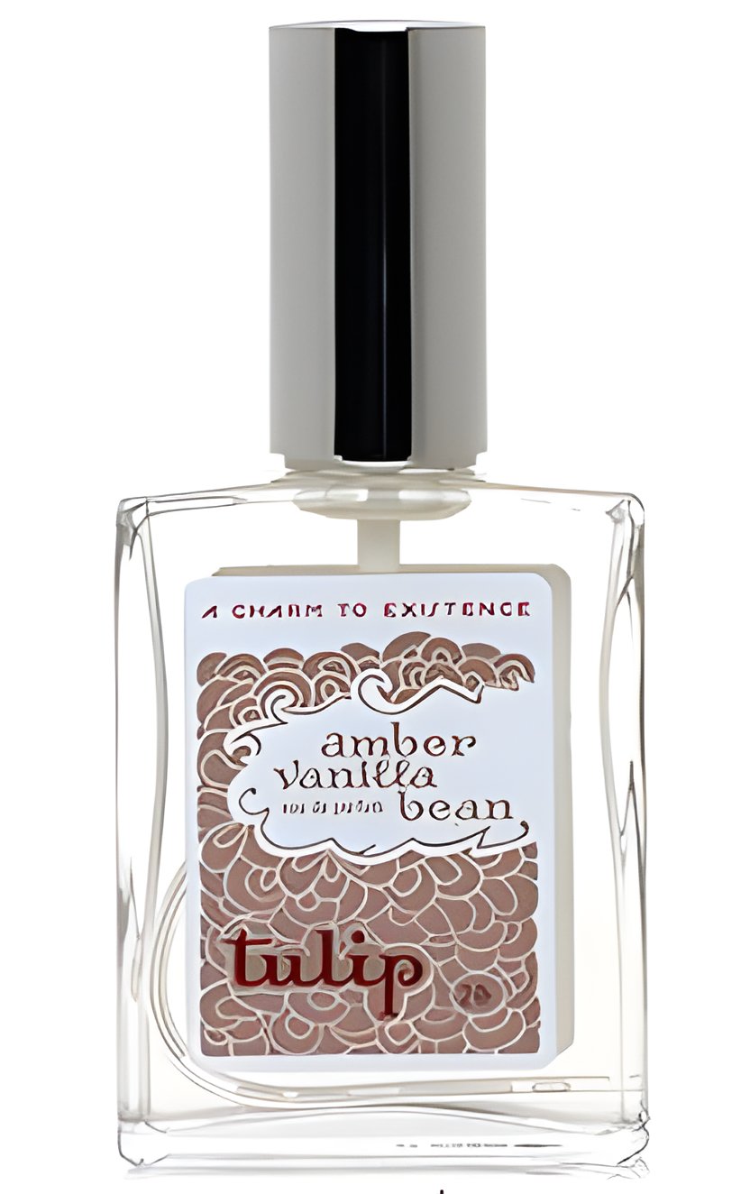 Picture of Amber Vanilla Bean fragrance