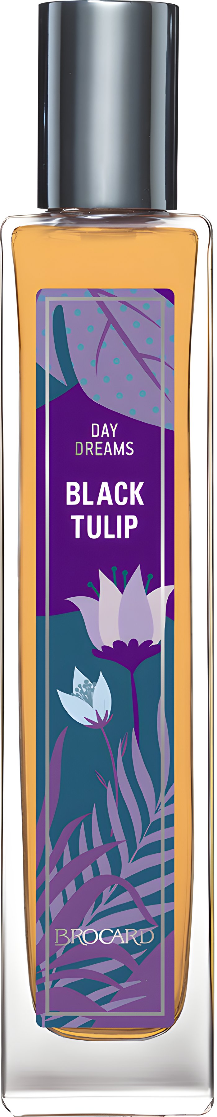 Picture of Black Tulip fragrance