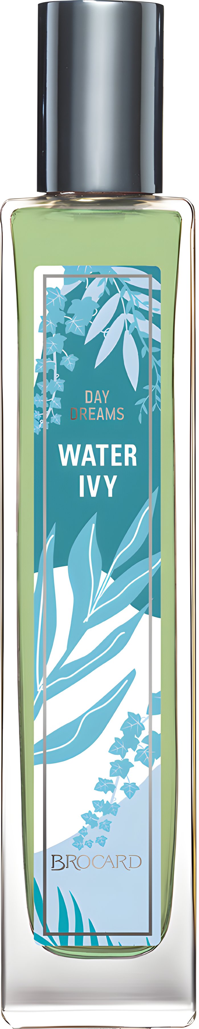 Picture of Water Ivy fragrance