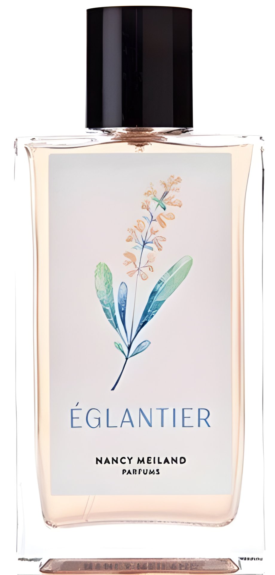 Picture of Églantier fragrance