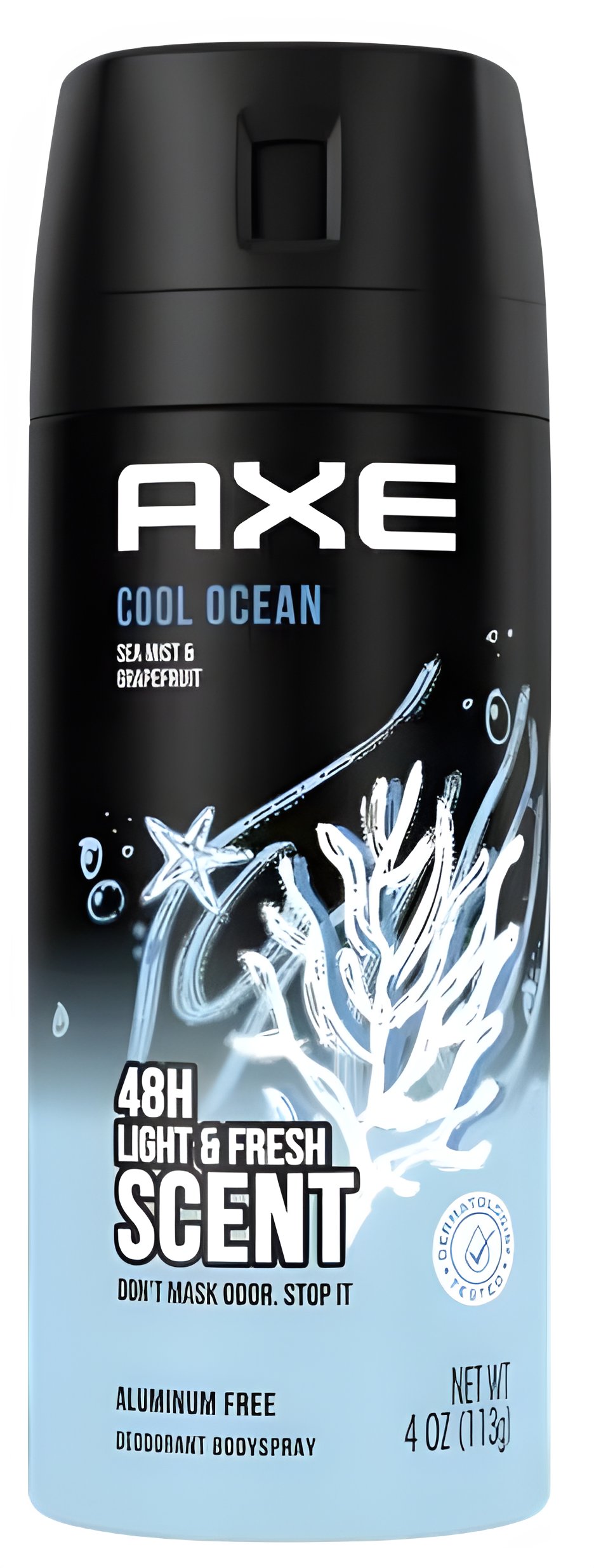 Picture of Cool Ocean fragrance