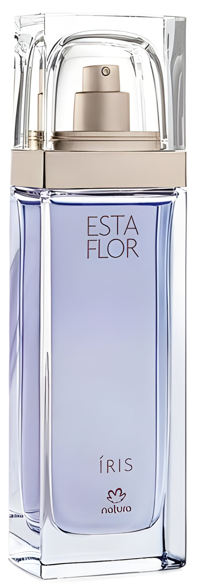 Picture of Esta Flor Íris fragrance