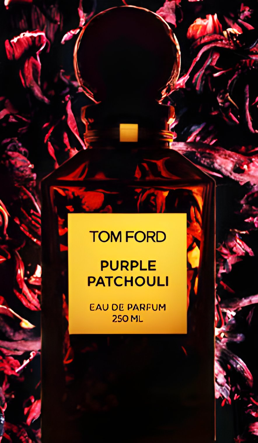 Picture of Purple Patchouli fragrance