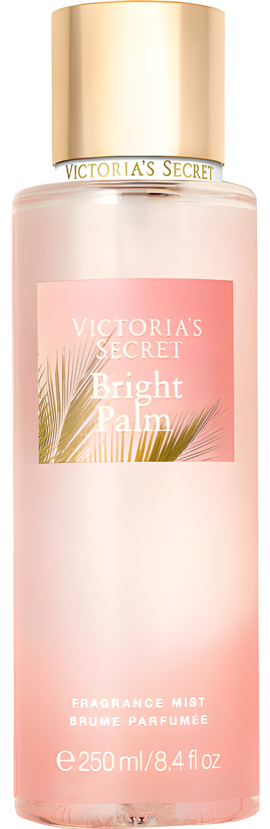 Picture of Bright Palm fragrance