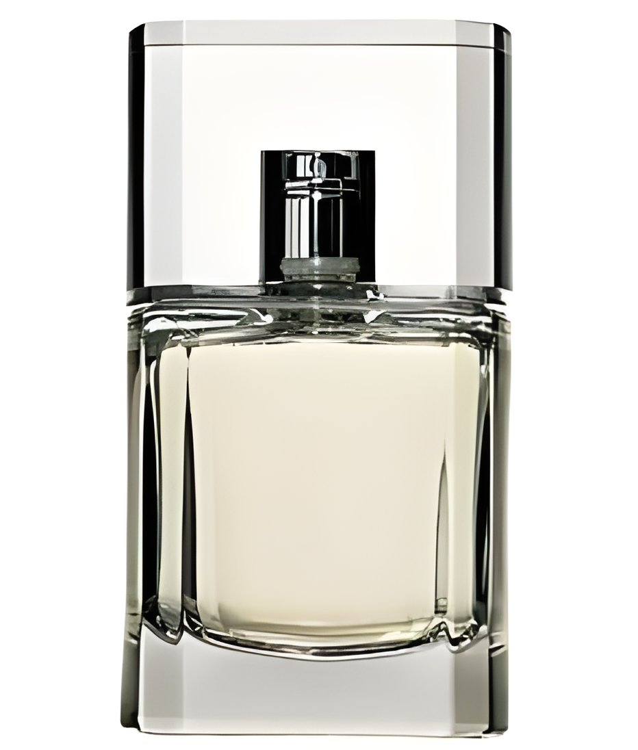 Picture of Danielle fragrance