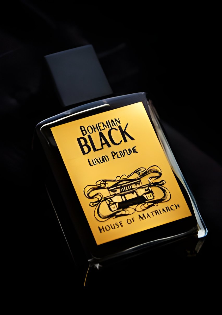 Picture of Bohemian Black fragrance