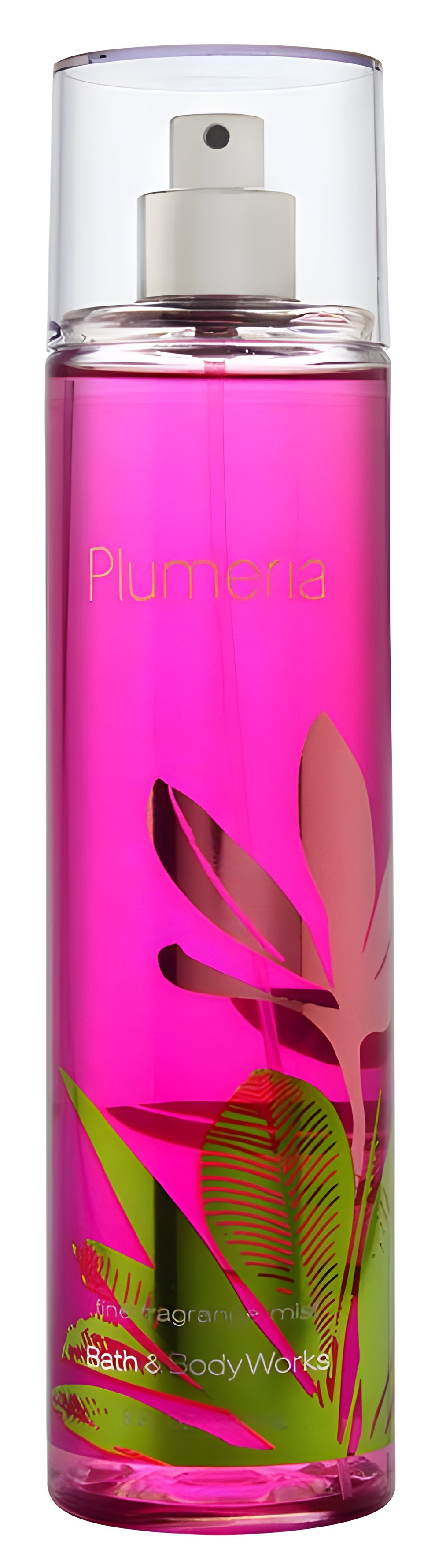 Picture of Plumeria fragrance