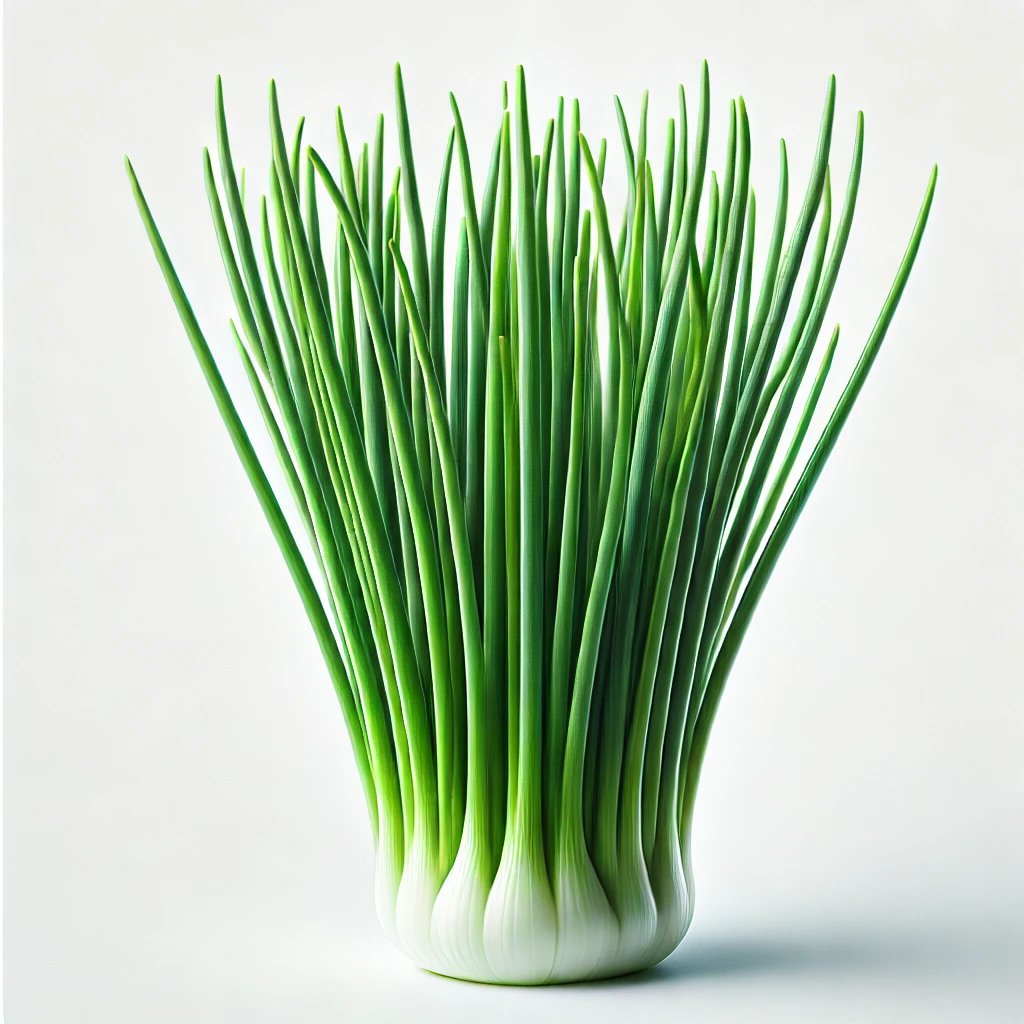 Picture of Chive note