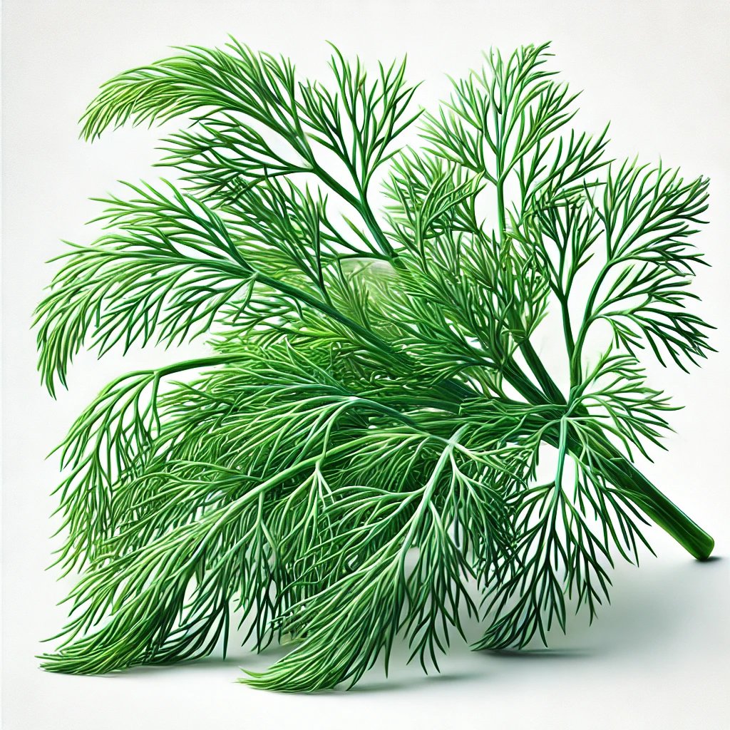 Picture of Dill note