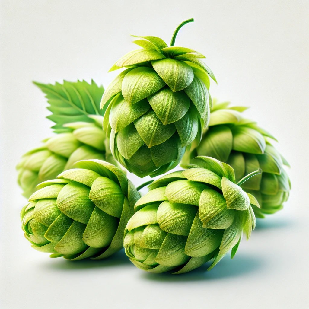 Picture of Hops note