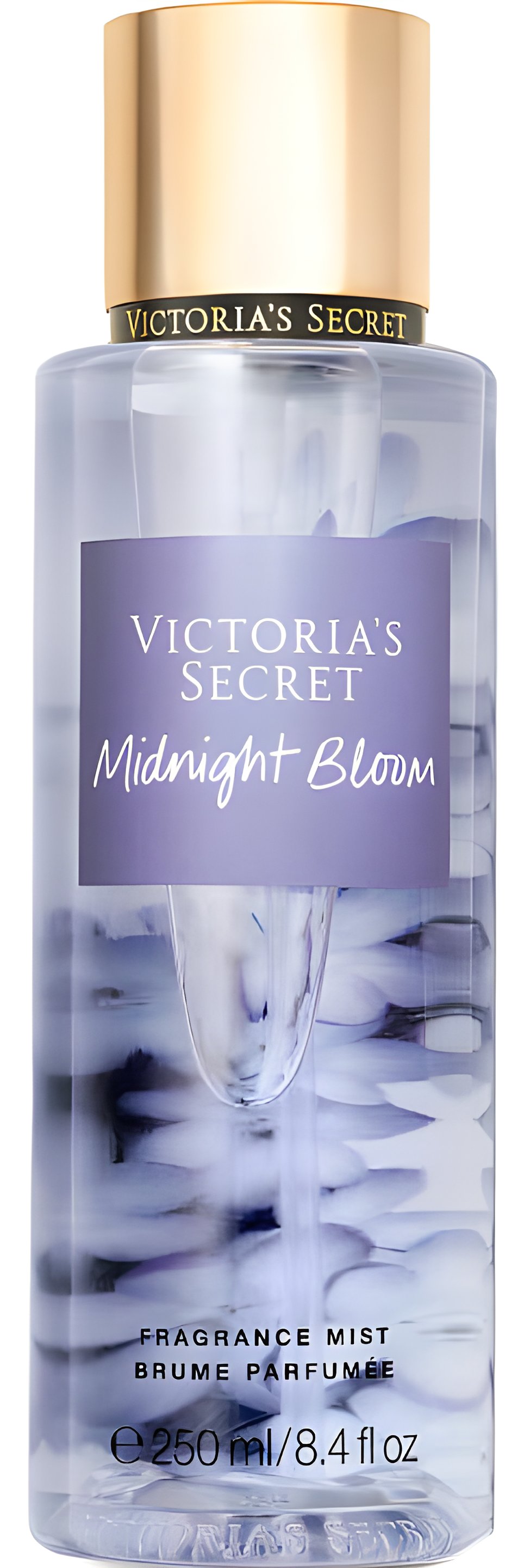 Picture of Midnight Bloom fragrance