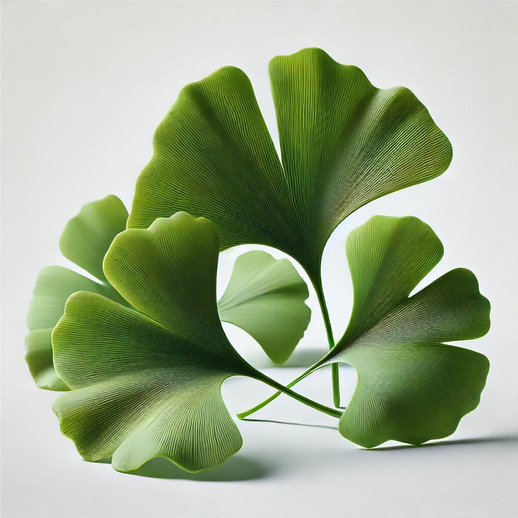 Picture of Ginkgo note