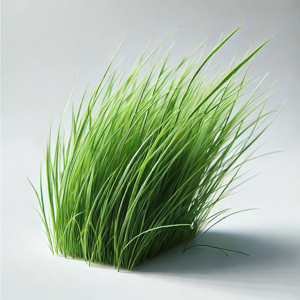 Picture of Grass note