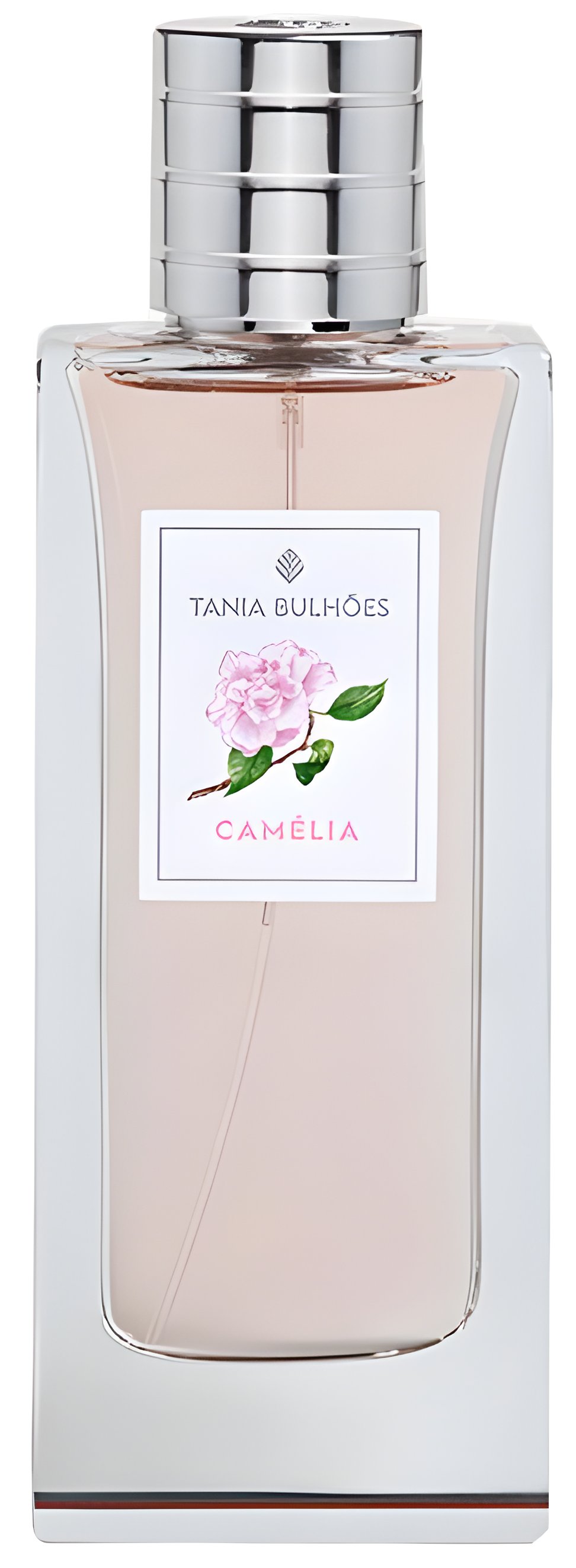 Picture of Camélia fragrance