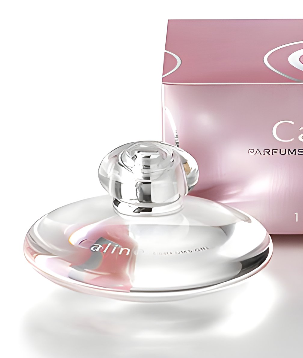 Picture of Caline fragrance